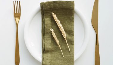Martini Olive Linen Napkins Set of 2, from Linen Tales
