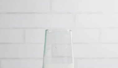 Moroccan Cone Glassware in Clear