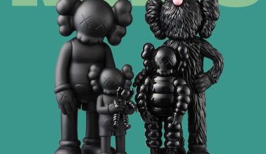 Kaws: Family