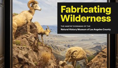 Fabricating Wilderness