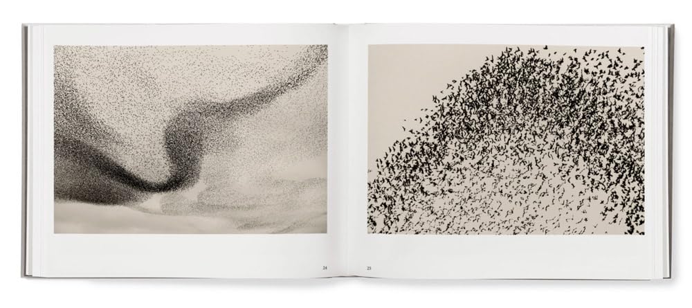 Søren Solkær: Black Sun - Image 3