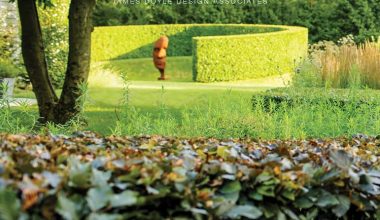 Intersection of Nature and Art