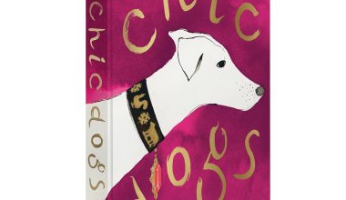 Chic Dogs