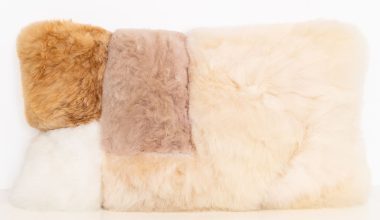 Alpaca Color Block Lumbar Pillow in Sandstone