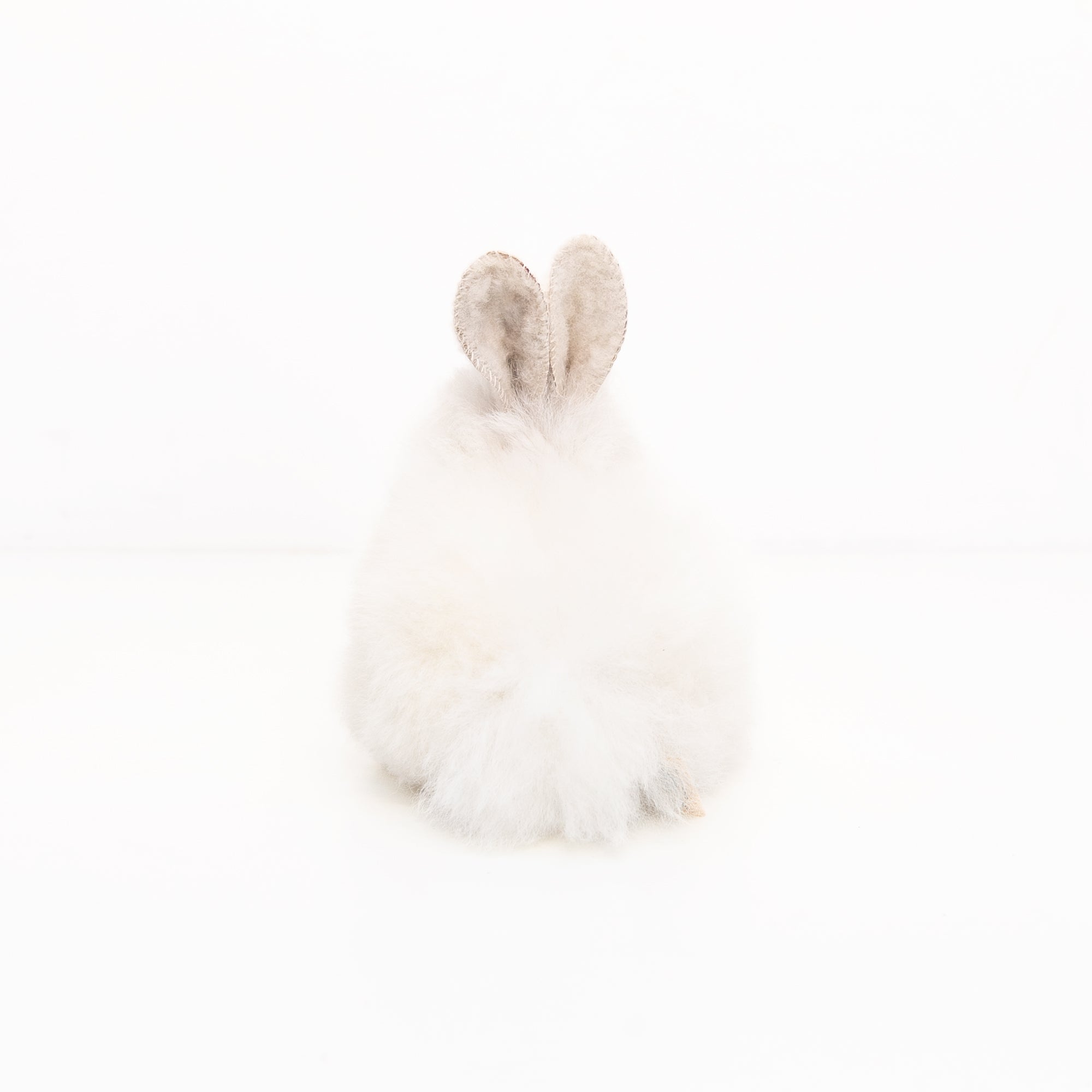 Alpaca Stuffed Bunny in White - Image 3