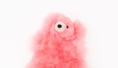 Small Bear in Pink