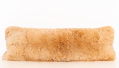 Extra Long Lumbar Pillow Pillow in Champagne