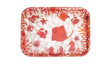 Small Nemo Tray