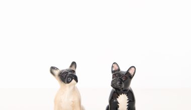 French Bulldog Salt and Pepper Shakers, from Quail Ceramics