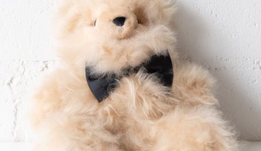 Alpaca Teddy Pelu, from Weich Couture Alpaca