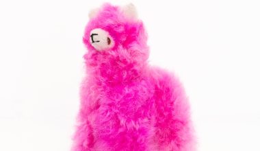 Small Llama in Hot Pink