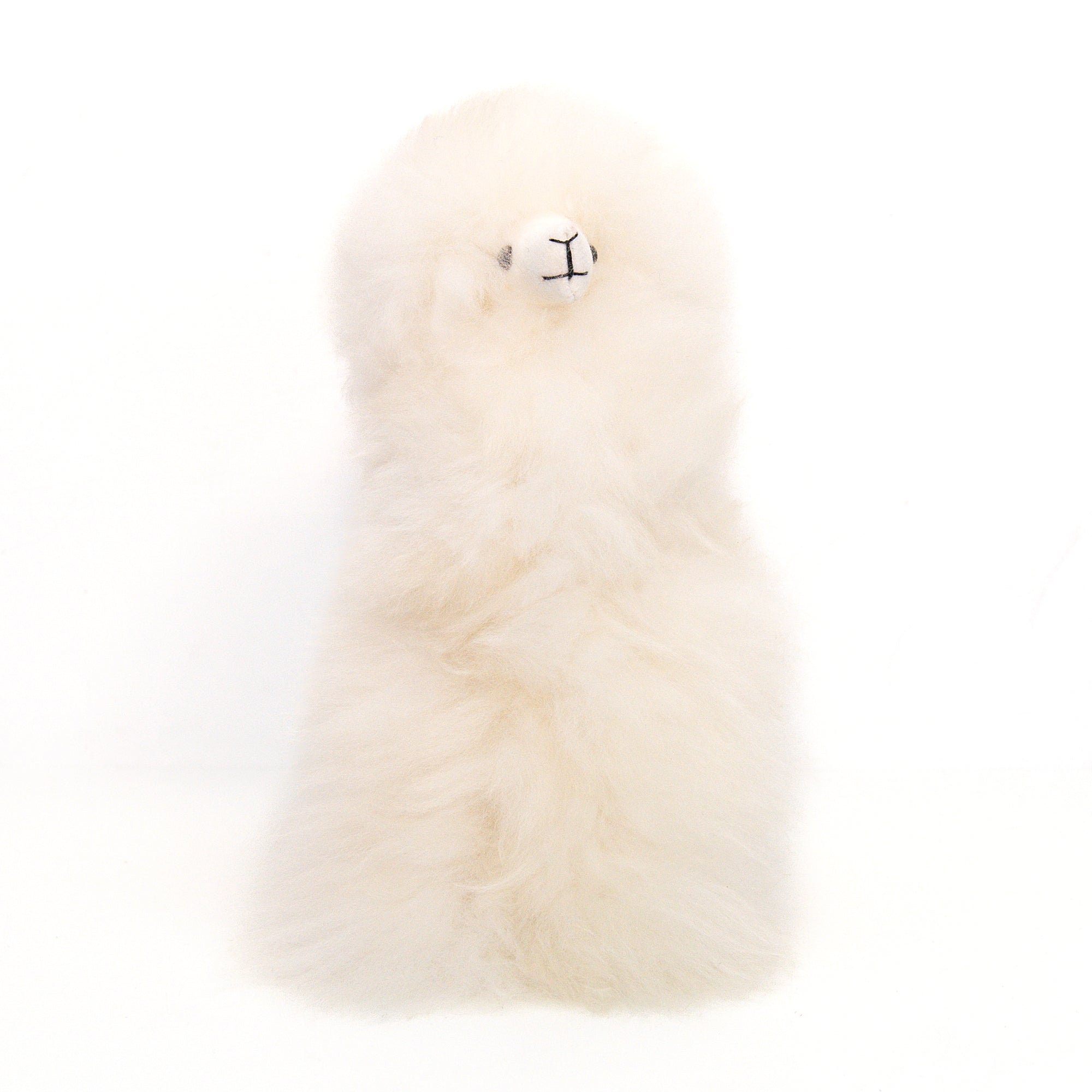 Medium Llama in White