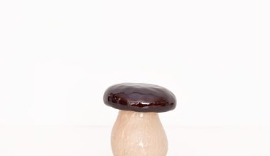 Small Mushroom Box, from Vista Alegre by Claudia Schiffer