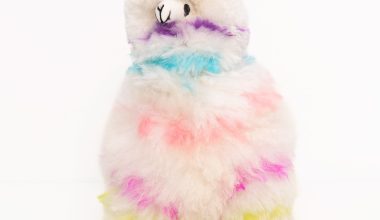 Medium Thunder Llama