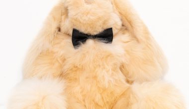 Milo Extra Large Rabbit in Champagne, from Weich Couture Alpaca