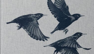 Søren Solkær: Black Sun