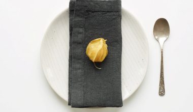 Set of 2 Linen Napkins 20x20 in Forest Green, from Linen Tales