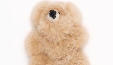 Small Alpaca Fur Bear in Beige