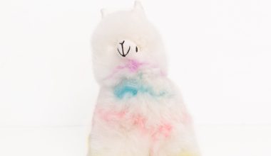 Small Thunder Llama