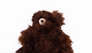 Stuffed Bear in Brown