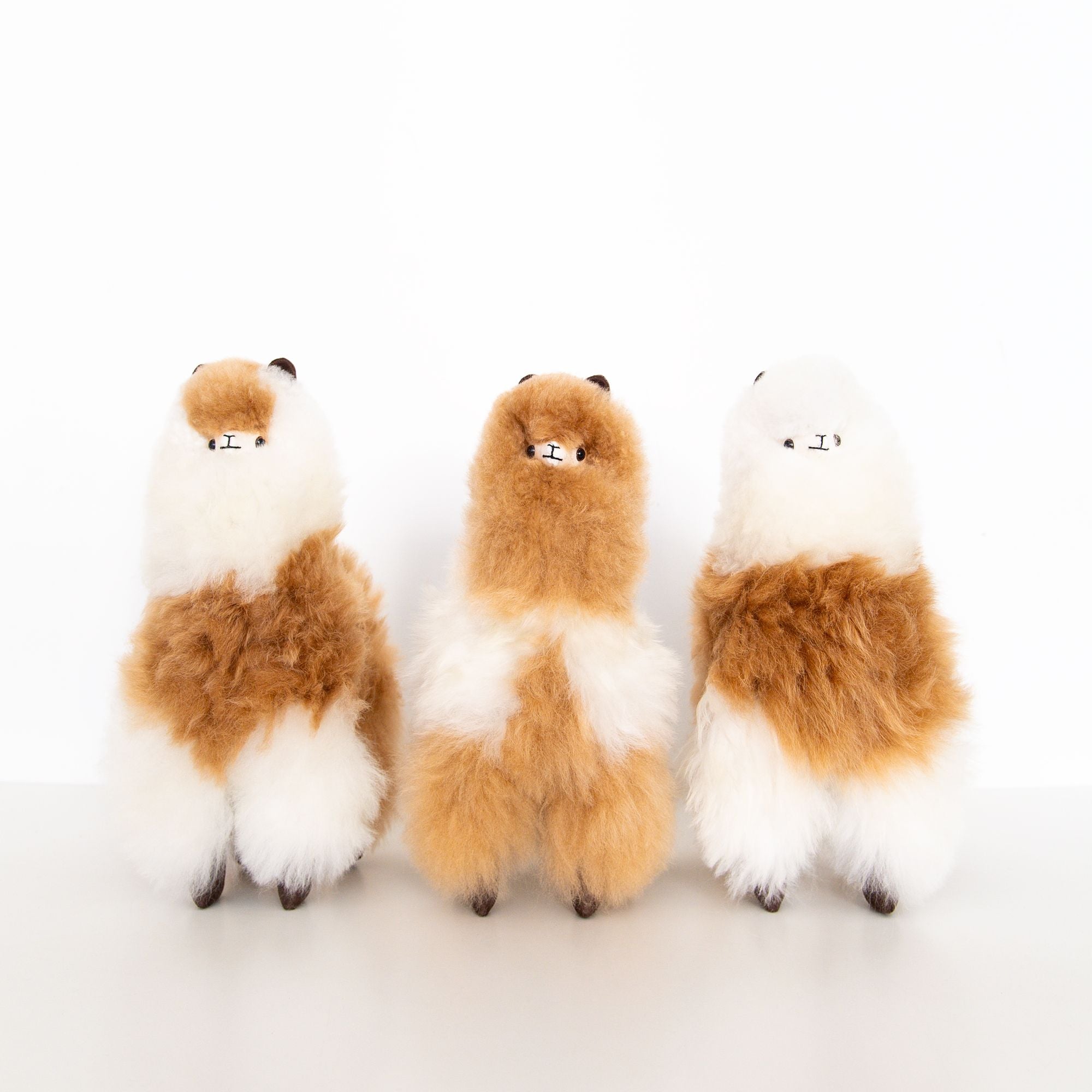 Medium Plush Alpaca in Ivory and Beige - Image 3