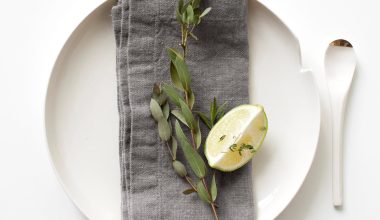 Ash Napkin Set of 2, from Linen Tales