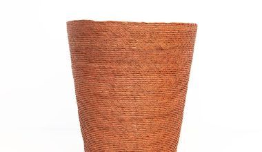 Conical Petalo