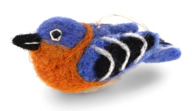 Eastern Blue Bird