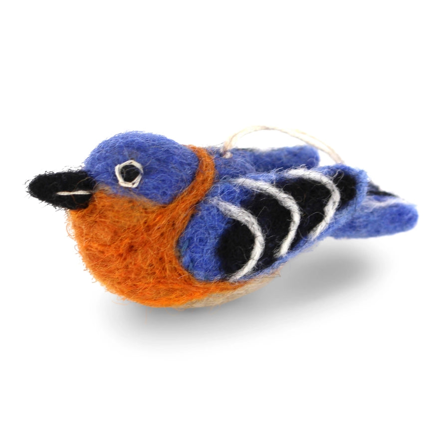 Eastern Blue Bird
