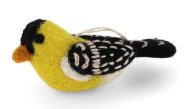 Gold Finch Bird