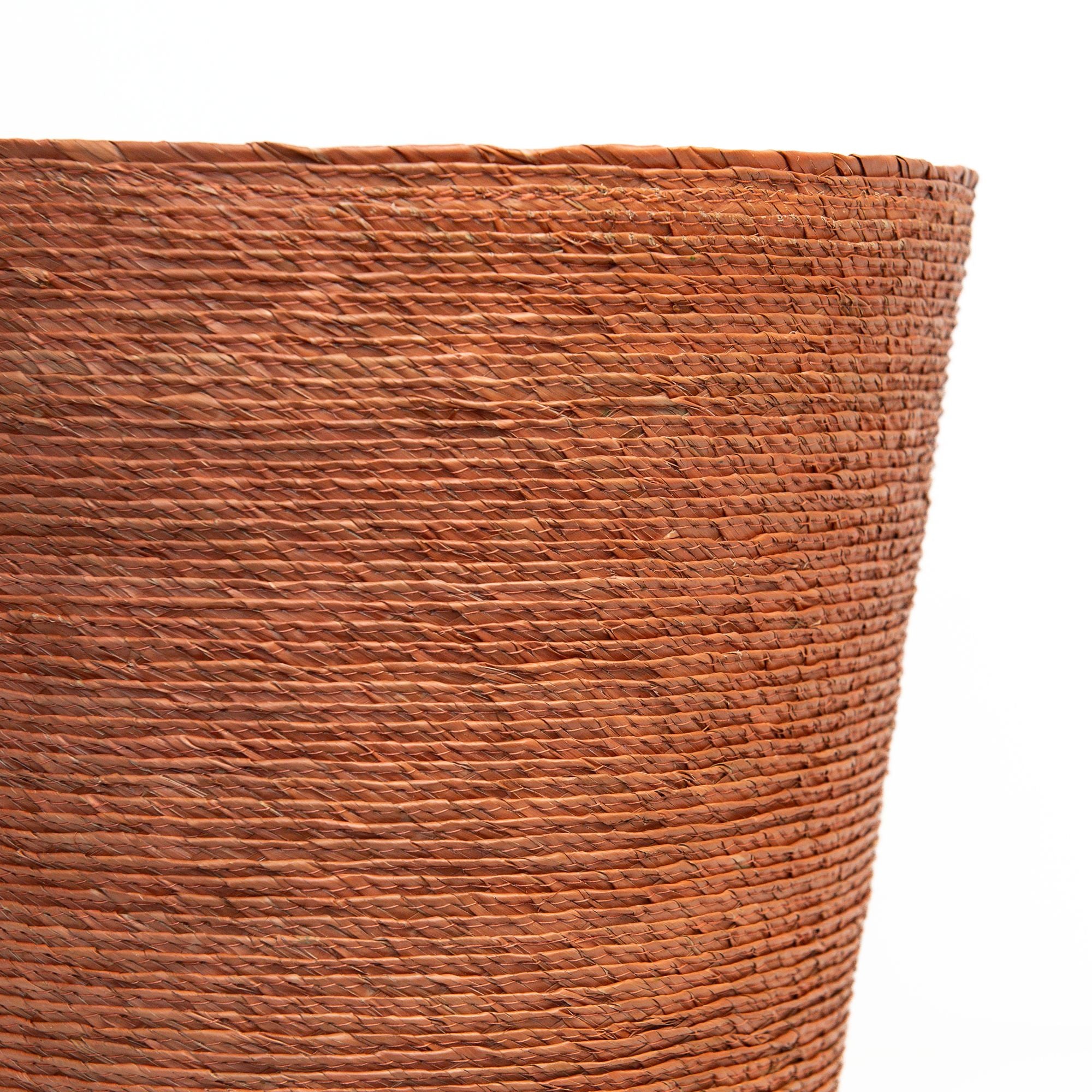 Conical Petalo - Image 2