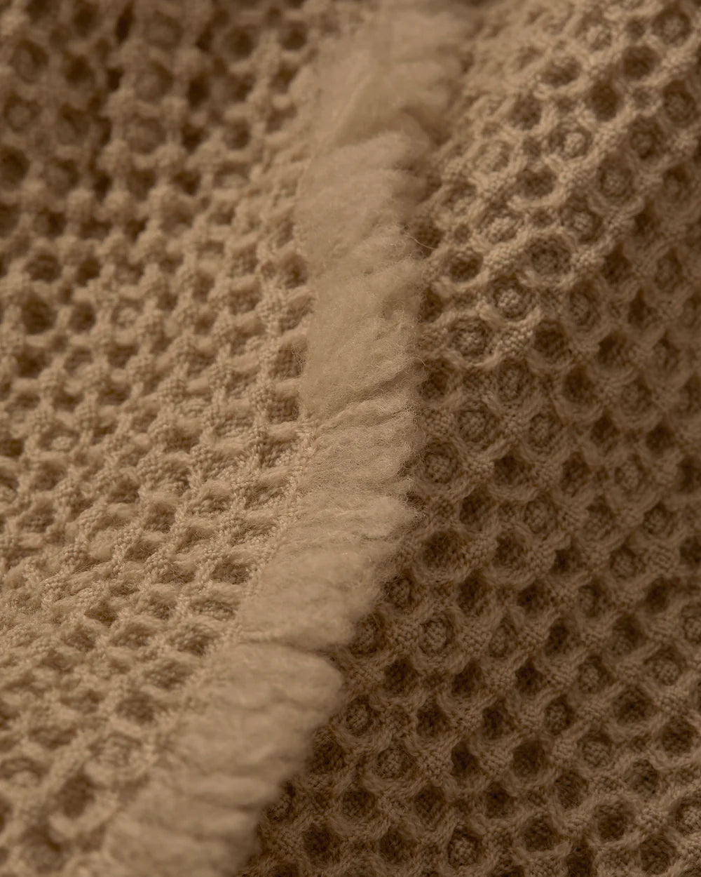 Nid Blanket in Canyon, Limonta Society - Image 3