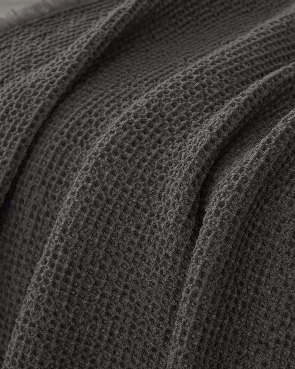 Nid Blanket in Fumo, Limonta Society - Image 3