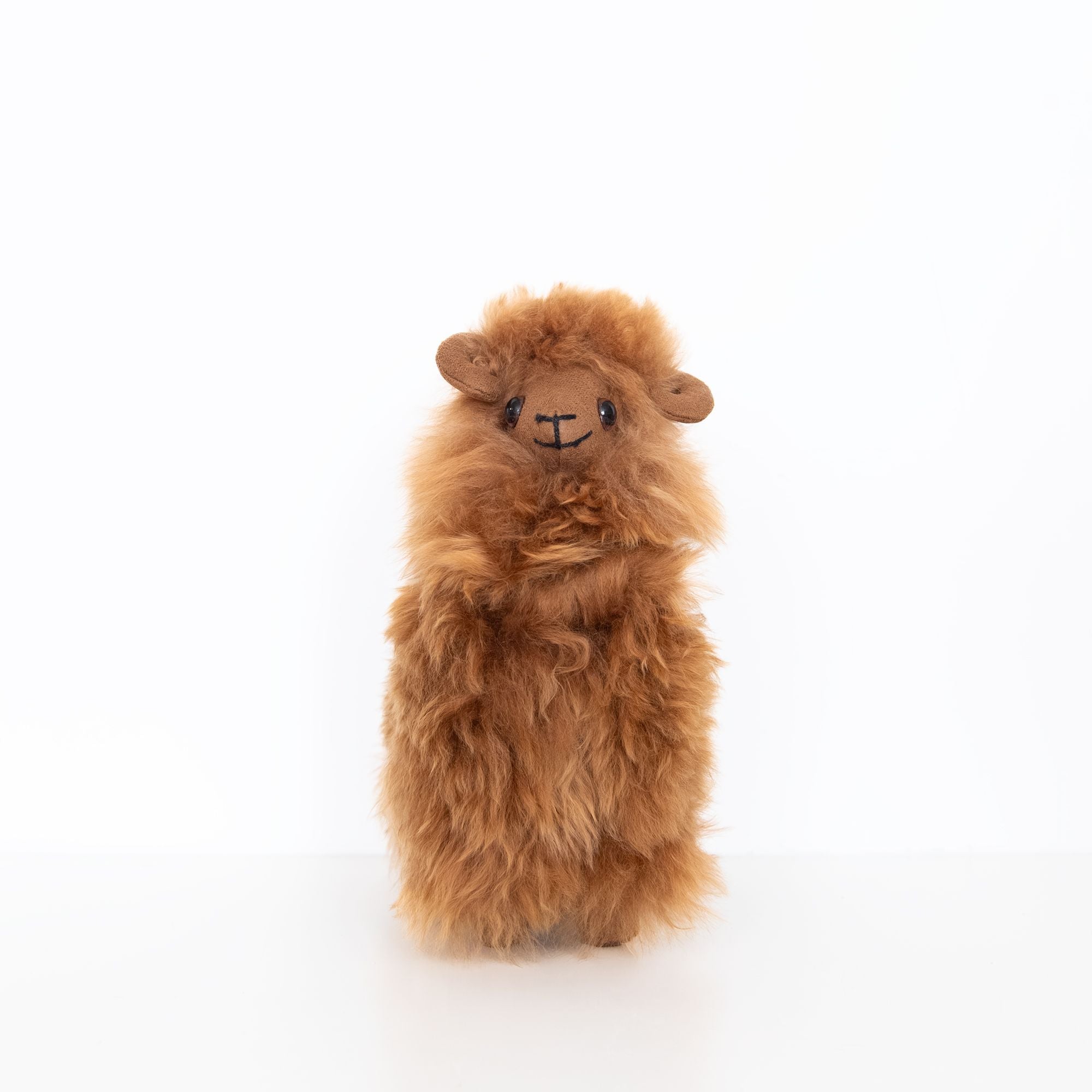 Big Horned Sheep in Brown