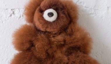 Small Bear in Brown